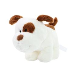 M160930 Brown/white - Tracking dog terrier Steffi - mbw